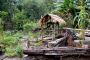 Amazonas06 - 153 * Even the dog house is prepared for rain and flood.